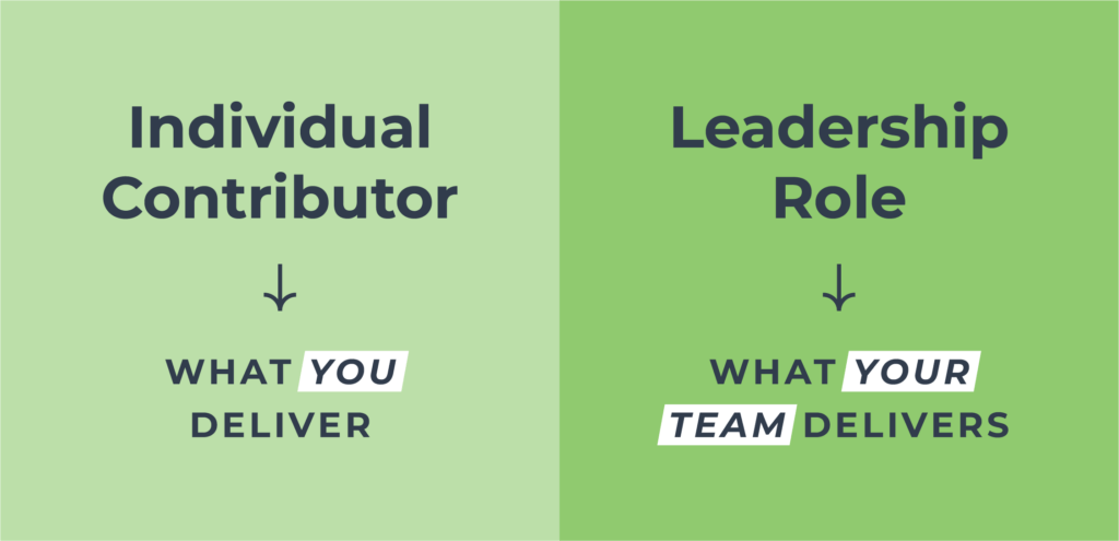 Individual Contributor vs. Leadership Role